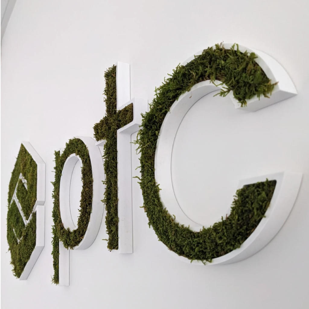 logo lettres vegetalisé